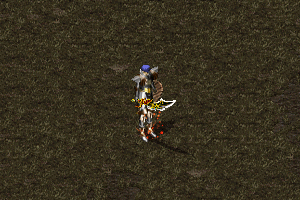 烈焰套效果.gif